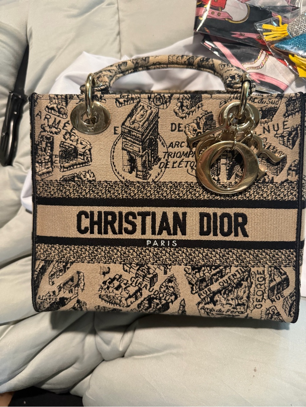 🔥 AUTHENTIC DIOR LADY D-LITE – PLAN DE PARIS – MEDIUM 🔥 - Picture 1 of 12